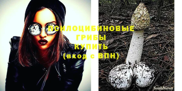 дживик Медвежьегорск