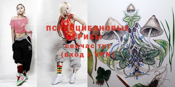 дживик Медвежьегорск