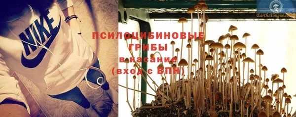 прущая мука Магадан