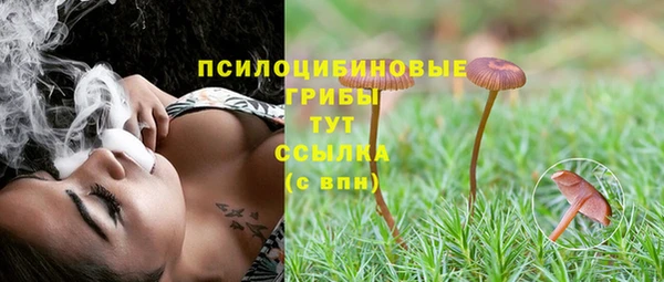 прущие крисы Медногорск