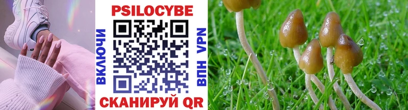 Купить закладки  Нижняя Тура  Псилоцибиновые грибы Magic Shrooms 